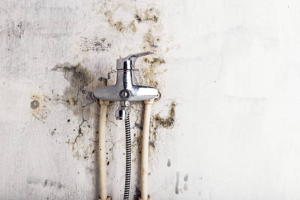Best Mold Remediation for Specific Building Types in Mayville, WI