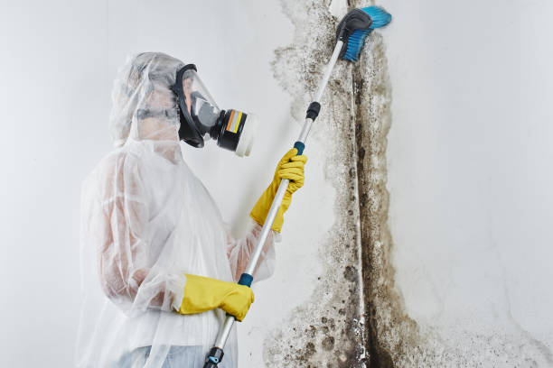 Mayville, WI Mold Remediation Company